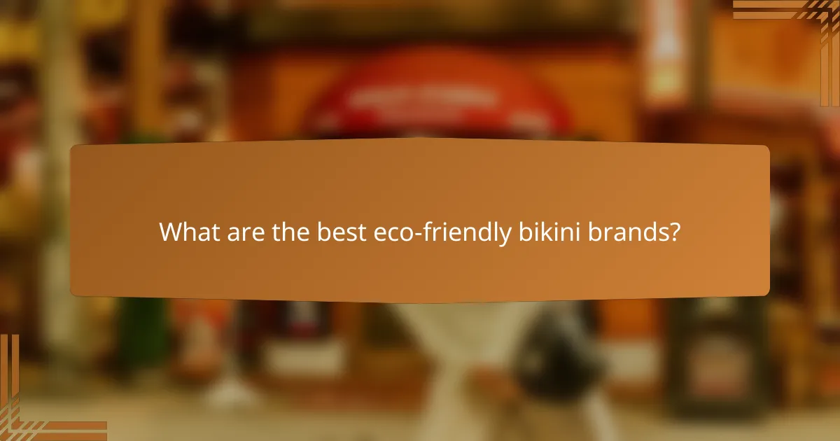 What are the best eco-friendly bikini brands?